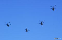 「青色が好き」良いそら〜