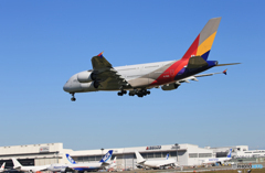 「良い空～」ASIANA A380-841 HL7626  着陸です