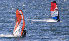 「青が大好き」楽しいぞぉ〜