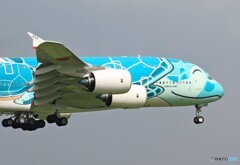 「晴れ」 ANA Flying Honu＃２（☺） JA382A Landing