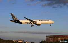☀「あおぞら」Lufthansa 777-FBT D-ALFF   到着