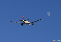 「スカイ」  DELTA と月  飛び立ちです 