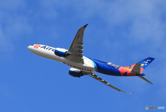 「SKY」Air Calin A330-941 F-ONET  飛び立ち