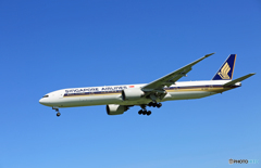 「青色が好き」 Singapore 777-312 9V-SWD Landing