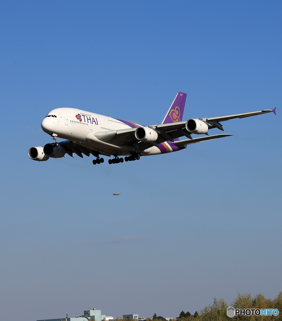 「すかい」 THAI A380-841 HS-TUA 着地前+