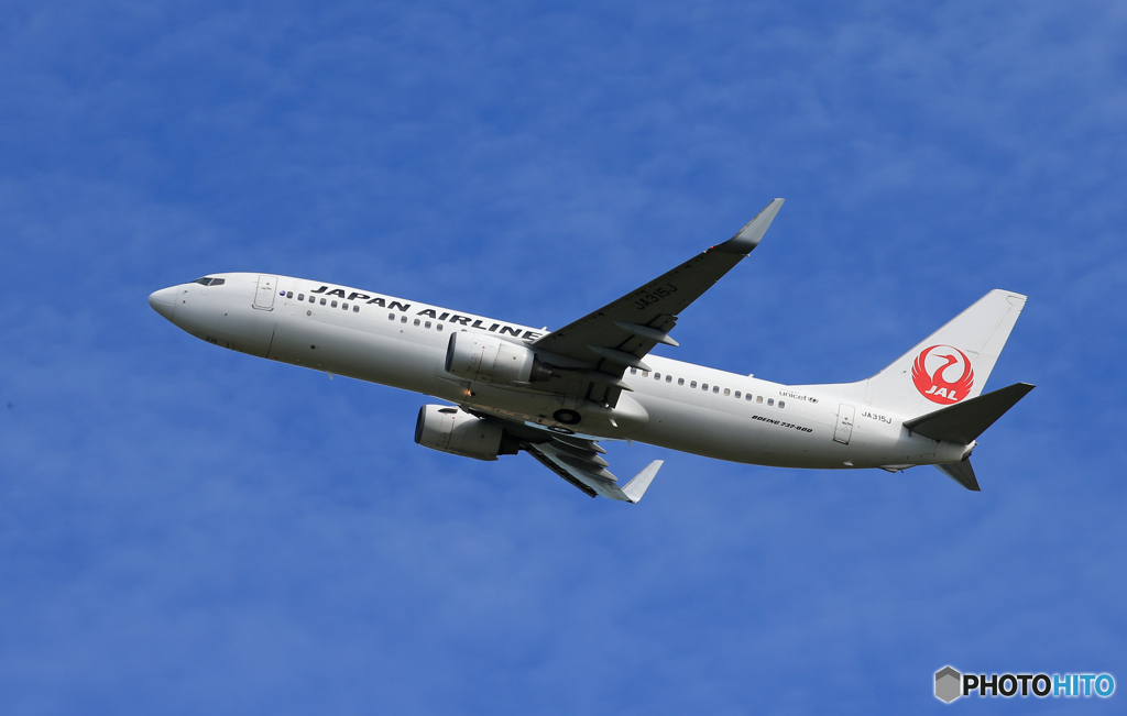 「晴れ」 JAL 737-846 JA315J Takeoff
