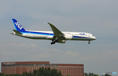 「良い空～」 ANA 787-9 JA879A 到着です