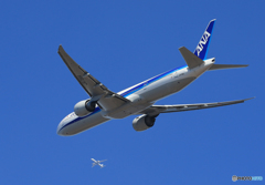 「青い空」が一番☮ ANA 777-381 JA781A クロス