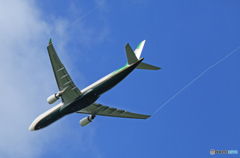 「はれ」 EVA A330-302 B-16339 出発ベイパー