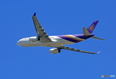 「良い空～」　Thai A330-343 HS-TBD離陸　