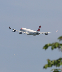 「良い天気」 SWISS A340-313 クロス Takeoff 