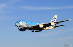 「真青の空」ANA Flying Honu  A380-841  着陸です
