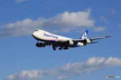 「あおぞら」NCA 747-8 日本のジャンボ機 来た～