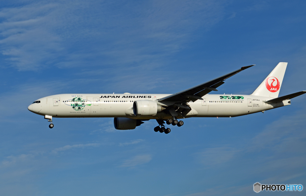 「青が大好き」 JAL 777-346 JA734J 飛び立ち