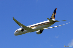 「SKY」 Singapore 787-10 9V-SCC Takeoff 
