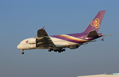 「すかい」 Thai A380-841 HS-TUB 到着です