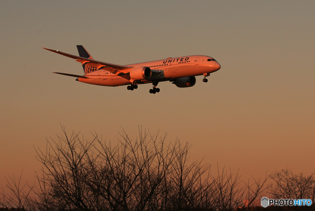 「空色」 UNITED 787-8　空港風景(さくらの山）