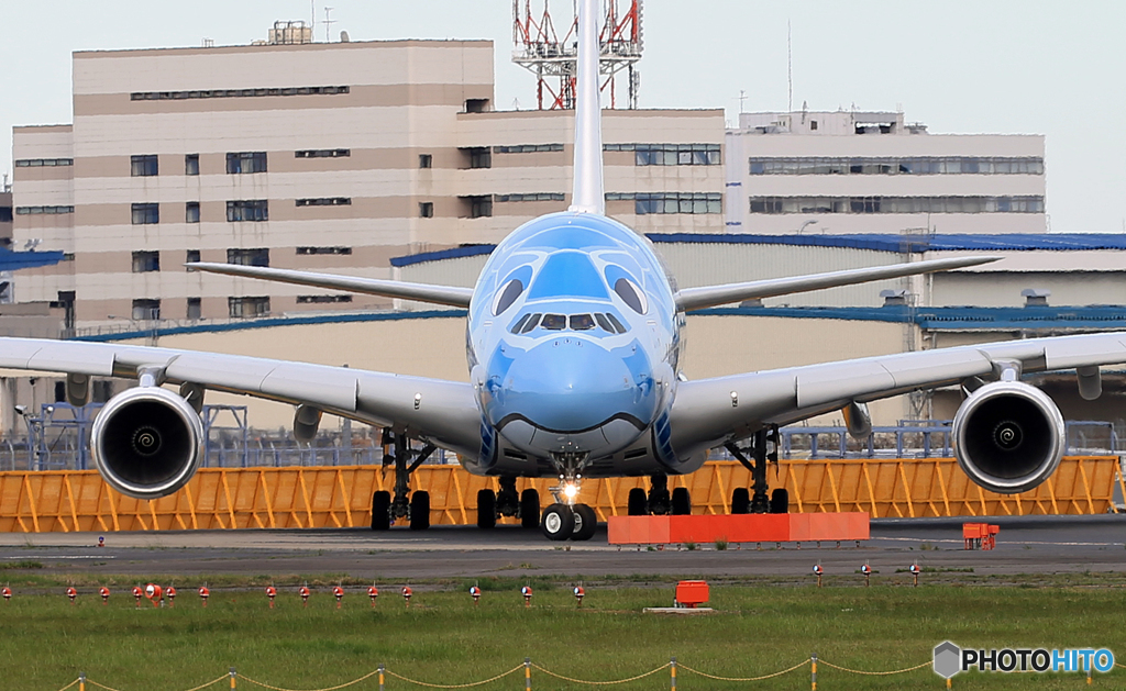 ✈A380-841✈ 「Flying Honu」行って来ま～す‼