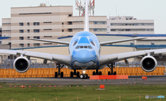 ✈A380-841✈ 「Flying Honu」行って来ま～す‼