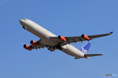 「青が大好き」 SAS A340-313 OY-KBI 飛び立ち