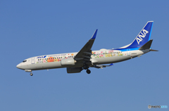 「青色」 東北フラワーJET 737-881 JA85AN Landing