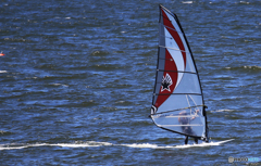 「青が好き」風と友達になって