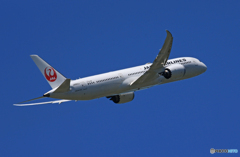 「青い空」が一番 JAL 787-9 JA863J  飛ぶ