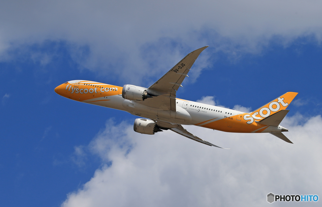 「群青」 scoot 787-9 9V-OJG Takeoff