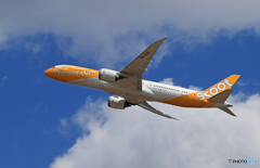 「群青」 scoot 787-9 9V-OJG Takeoff