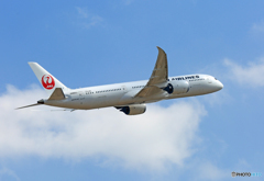 「良い天気」　JAL 787-9 JA865J 飛行