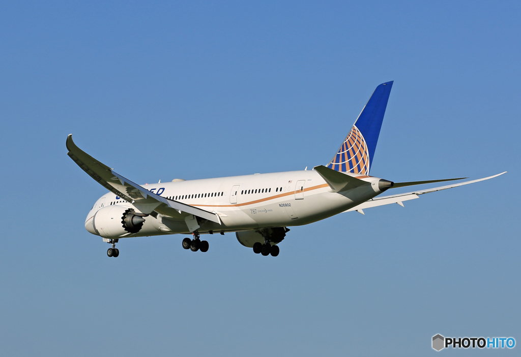 「青い日」 United 787-8 N26902 着地前