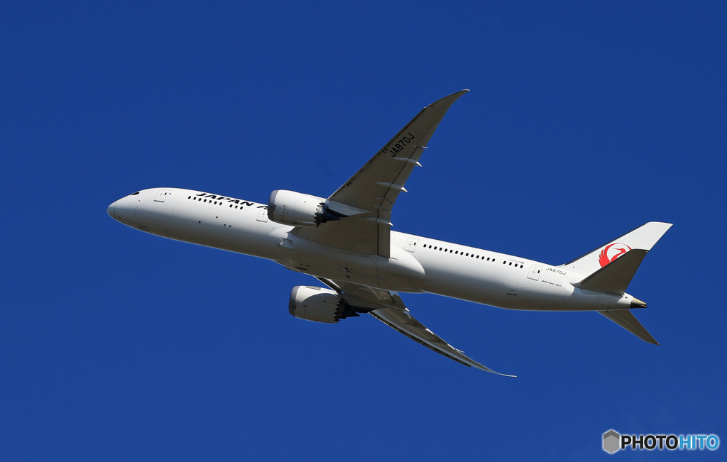 「青が大好き」JAL 787-9 JA870J 離陸
