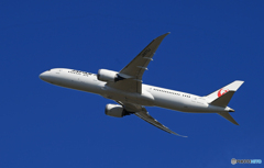 「青が大好き」JAL 787-9 JA870J 離陸