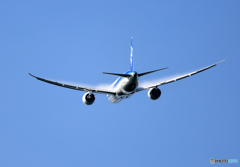 「良い空～」 ANA 787-8 離陸 ベイパー