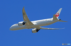 「良い空～」 JAL 787-9 JA865J 出発です