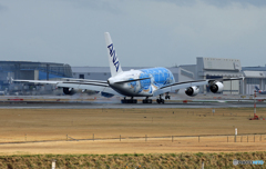 「ぶるー」 ANA A380-841 「Flying Honu」 着陸します