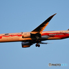「青が好き」landing ・ LOTポーランド航空