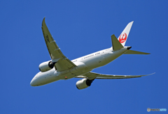 「すかい」 JAL 787-8 JA839J Takeoff