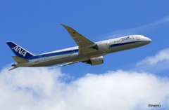 「真青の空」 ANA 787-9 JA887A 飛行