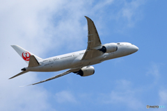 「青色」 JAL 787-8 JA843A 飛ぶ