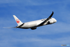 「青い日」 JAL 787-9 JA867J 飛ぶ