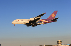 「群青」THAI A380-841 HS-TUB  到着しました