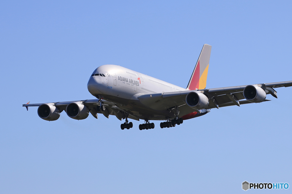 [青い空]ASIANA A380-841 HL7626  到着です