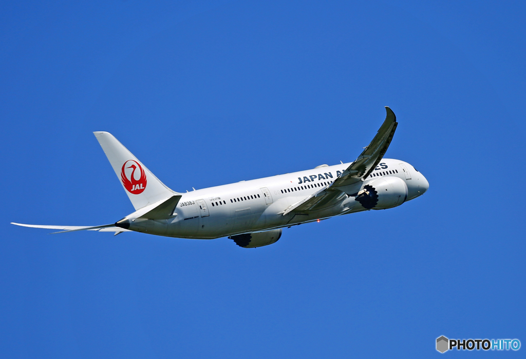 「すかい」 JAL 787-8 JA836J 離陸です