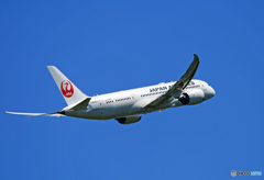「すかい」 JAL 787-8 JA836J 離陸です
