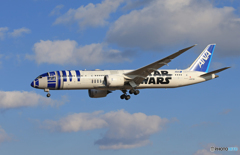 「あおぞら」 STAR WARS 787-8 JA873A 着陸