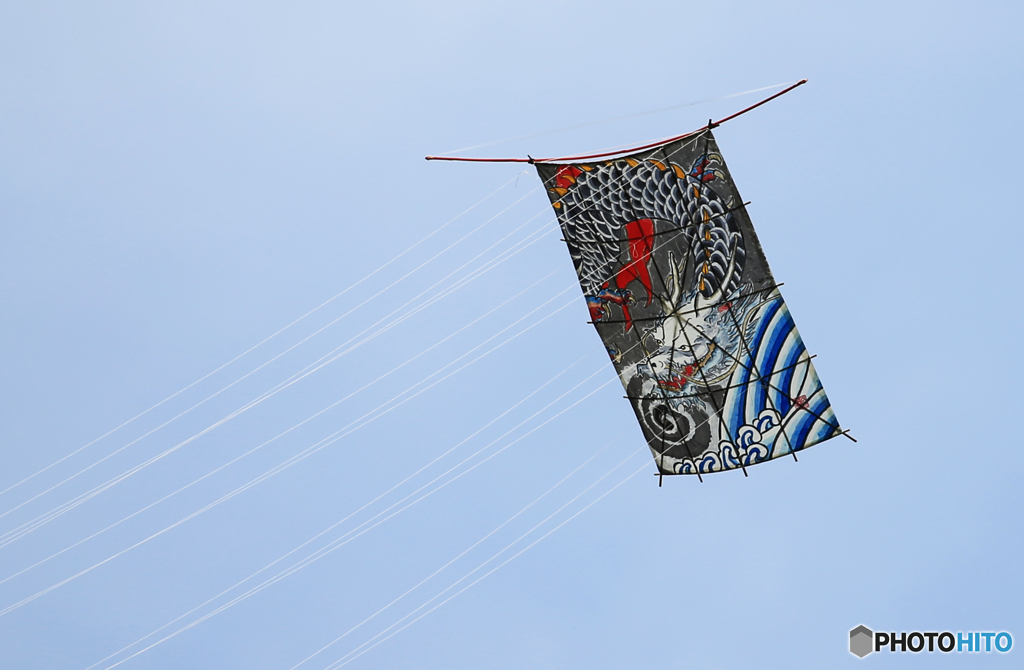 「Cool」伝 統 和 凧 の 龍 が 舞 う