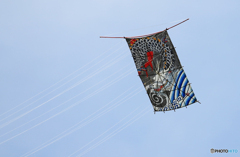 「Cool」伝 統 和 凧 の 龍 が 舞 う