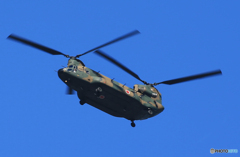 [青い空]  　ヘリコプター飛来　チヌーク
