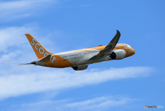 ☀「青い空」が一番 scoot 787-8 9V-OFD 飛ぶ